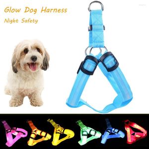 Hondenkragen geleid Luminous Harness Night Safety Anti-meest verstelbare Harnases Belt riem aangelijnde kraagvestbenodigdheden voor kleine huisdier chihuahua