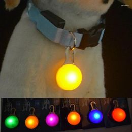 Colliers pour chiens LED collier pour animaux de compagnie pendentif lumineux nuit sécurité conduit collier lumineux décor lumineux pour chiens lumière Perro