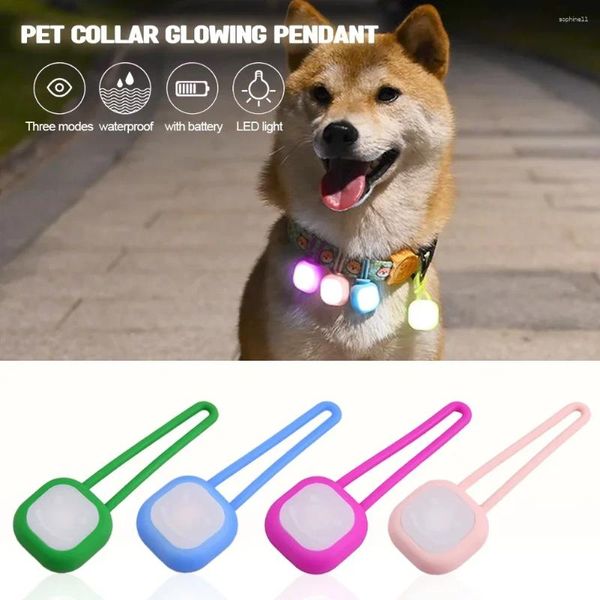 Colliers de chien LED collier pour animaux de compagnie pendentif lumineux sécurité nocturne Anti-perte collier lumineux étanche en plein air marche formation lumière clignotante