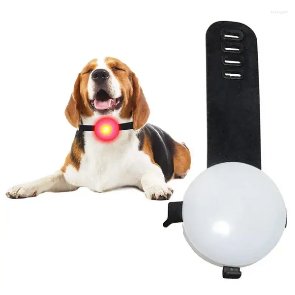 Collares para perros Led de collar de mascotas a impermeable luz nocturna para la seguridad para caminar acampar o bicicleta