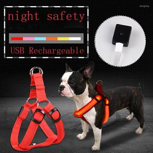 Colliers pour chiens LED USB Rechargeable harnais petit moyen réglable en Nylon collier pour animaux de compagnie lumière nuit sécurité brillant pour chat