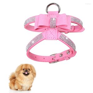 Hondenkragen Legendog Pet Harness Borstriem met gesp boren Sparkling Bow Cat Leather Hoge kwaliteit Kraag