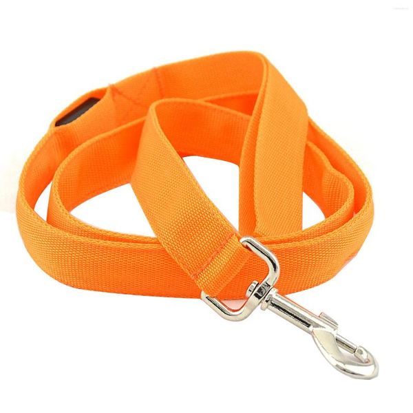 Collares para perros Iluminados Modos ajustables Accesorios de correa LED Tira Noche Carga USB Segura Luminoso Visible Intermitente Nylon Suministros para mascotas