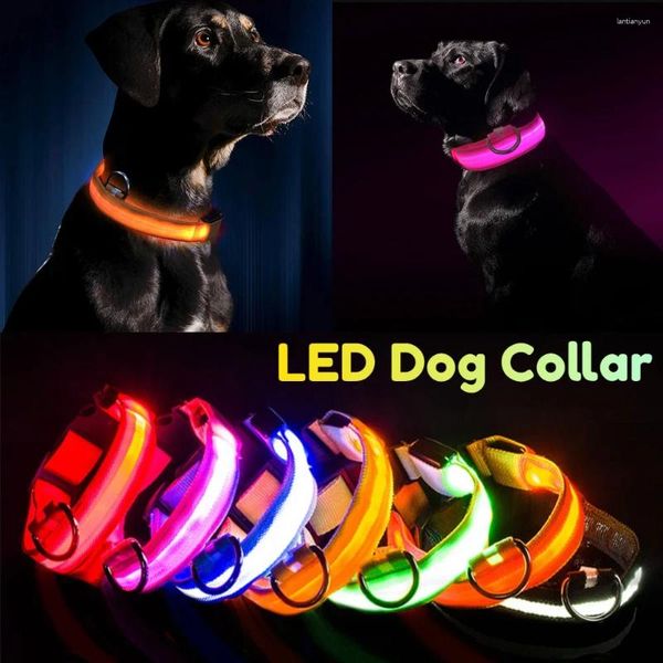 Collares de perros Light Up Collar Led hace que sus amados perros sean vistos por la noche con seguridad luminosa brillante