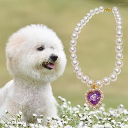 Colliers pour chiens longue durée collier à breloques pour animaux de compagnie pendentif de luxe réglable chat petit chiot tour de cou bijoux habiller