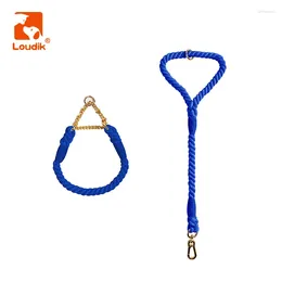 Colliers de chien Louddik Big Leash et collier ensemble réglable à la main