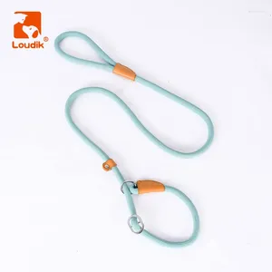 Colliers de chien Louddik Big Slip Leash Corde en nylon recyclée réglable Fabriqué un petit collier de compagnie de compagnie moyen mène les accessoires de marche en gros