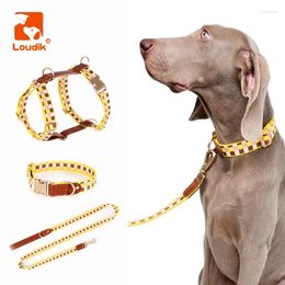 Colliers de chien Louddik-Large Harness Lash Set Personnalized ID Nom Laser Ajustement Big Pet Collar et dirige les accessoires en gros