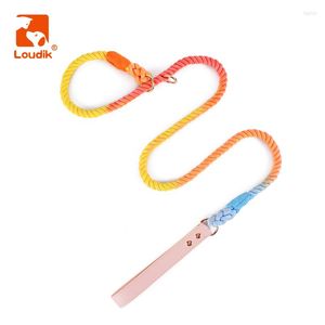 Collares para perros Loudik Safety Slip Leash con tapón Ajustable Reciclado Pu Cuero Mango Trenzado Colorido Cuerda Pet Collar Leads Venta al por mayor