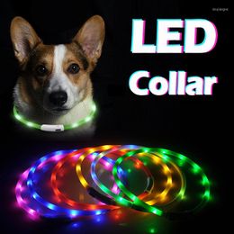 Hondenkragen Liminous kraag LED voor honden Cat Light PET USB Beklaadbare kleine grote accessoires