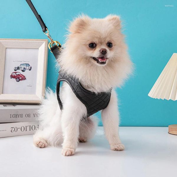 Collares de perros cofre de lujo con correa de correa de mascota de moda correa ajustable correa de tamaño mediano