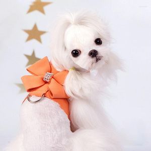 Colliers pour chiens de luxe pour animaux de compagnie gilet-style harnais de poitrine petit moyen chat laisse collier ensemble fournitures accessoires en gros