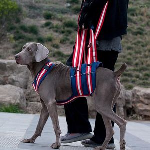 Colliers de chien moyen et gros chiens en nylon pour animaux