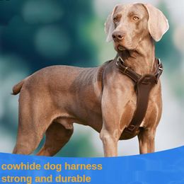 Hondenkragen Medium en grote riemen Cowhide Vest-stijl Harness Labrador Golden Retriever Marinos leidt accessoires