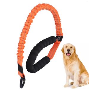 Colliers pour chiens Corde de traction pour laisse moyenne et grande