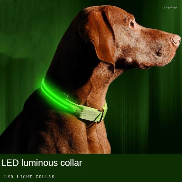 Colliers pour chiens moyen-grand collier lumineux de charge USB LED Golden Retriever Doberman Labrador accessoires