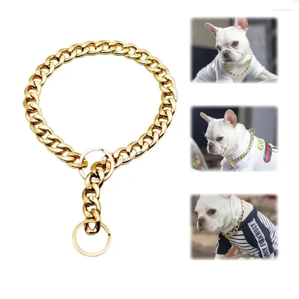 Colliers de chien collier collier collier longueur 35/45/55 cm chat pour chiens accessoires