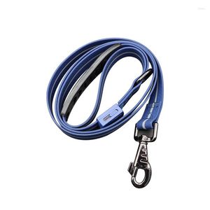 Colliers pour chiens La plupart des colliers de sécurité en nylon LED pour animaux de compagnie chargés par USB