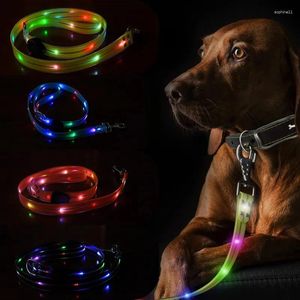 Hondenhalsbanden Meerkleurig gecoate rubberen huisdierriem Buitenkat en LED-verlicht USB-opladen Fluorescerend