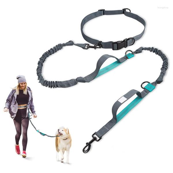 Collares para perros Correas multifuncionales manos libres Correa deportiva Correas escalables Accesorios para caminar pequeños y medianos