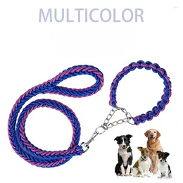 Collares para perros Correa multifuncional Cadena P Collar deslizante Correas para caminar para mascotas Cuerda de nailon Tracción para cachorros para perros pequeños, medianos y grandes