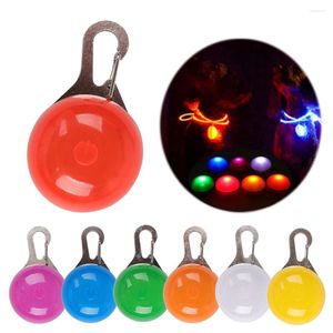 Colliers de nuit LED pour animaux de compagnie, brille dans la nuit, lumineux, fournitures pour animaux de compagnie, accessoires, collier pour chat, lumières