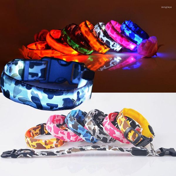 Collares para perros, seguridad nocturna para gatos y cachorros, Collar recargable por USB, luz brillante, brillo, nailon brillante, LED reflectante