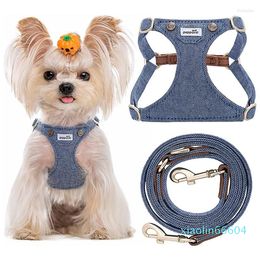 Colliers pour chiens sans tirer harnais et laisse ensemble mignon gilet pour animaux de compagnie doux rembourré réglable starter marche pour chiot petits chiens moyens