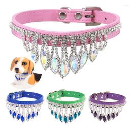 Halsbanden Noble Cat Collar Ketting Bell Leer Luxe Honden Kettingen Voor Katten Accessoires