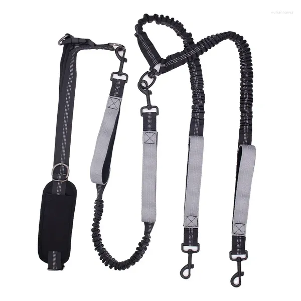 Colliers de chien ceinture en nylon double tête de corde à pied laisse les sports de compagnie de compagnie de la chaîne réfléchie des accessoires de chaîne