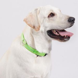 Hondenkragen Nylon LED Licht Nacht Nacht Kraag Veiligheid Verstelbare gloeiende ketting voor kleine honden kat