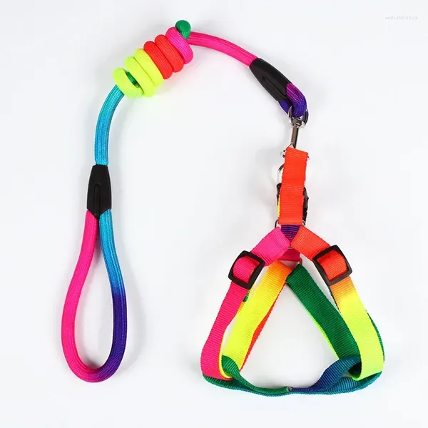 Collares para perros Conjunto de arnés y correa para gatos de nailon para perros pequeños y grandes Chaleco colorido ajustable Correas para caminar