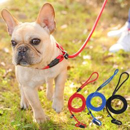 Halsbanden Nylon Huisdier Aangelijnd Gehoorzaamheid Recall Training Pinch Collar Anti-Verstikking Verstelbare P Chain Slip Leads Voor Honden