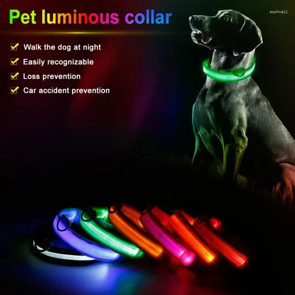Colliers en Nylon pour chiens, laisse lumineuse LED pour animaux de compagnie, marque de sécurité nocturne, clignotant, fournitures réglables, harnais, produits