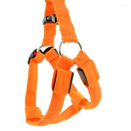 Hondenkragen Nylon Pet Safety Led Harness Product flitsende licht riem touwgordel kraagvestbenodigdheden