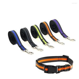 Colliers réfléchissants en Nylon pour chien, laisse réglable verte, collier pour chat Orange, noir, lumière d'entraînement, fournitures pour animaux de compagnie