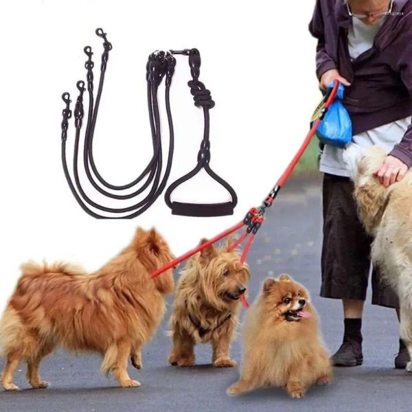 Colliers de chien laisse d'entraînement en Nylon pour fournitures pour animaux de compagnie harnais de marche collier Leader corde chiens chats laisses