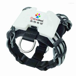 Hundehalsbänder Outdoor Walking Nylon Verstellbares, wiederaufladbares USB-LED-Geschirr
