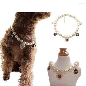 Colliers de chien collier collier collier de mode bijou de chiot bijou avec bling strass rose pendant animal accessoires