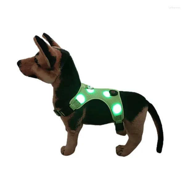 Colliers de chien personnalisés USB rechargeable réfléchissable durable sans pull usure de la corde légère à lad la sangle de poitrine