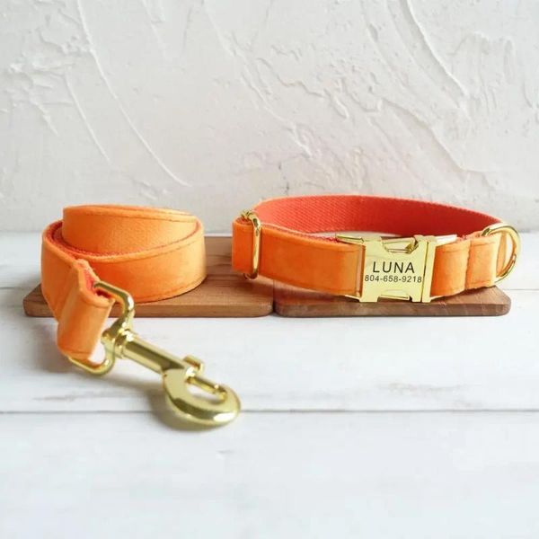 Colliers pour chiens collier personnalisé personnalisé pour animaux de compagnie gravure gratuite ID nom étiquette accessoire Orange épais velours chiot laisse
