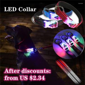 Colliers de chien Collier de nylon personnalisé avec un harnais réglable en laisse LED Flash Marche des petits chiens moyens moyens