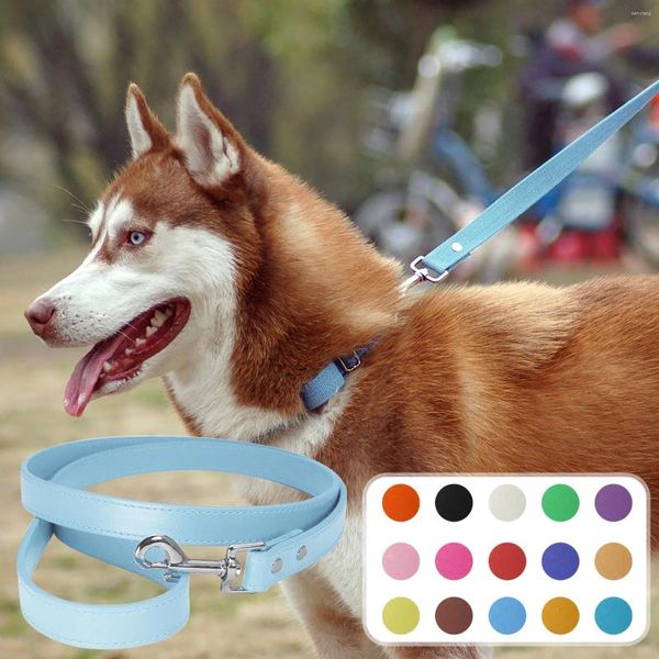 Colliers pour chiens accessoires pour animaux de compagnie corde en cuir Pu formation produits de marche laisse de couleur unie pour chiens collier Para Perro