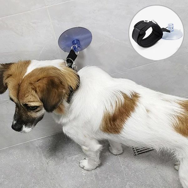 Colliers pour chiens, sangle de Fixation de bain pour animaux de compagnie, avec ventouse, laisse de retenue de douche pour chat, anti-rayures, outil de toilettage pour le bain