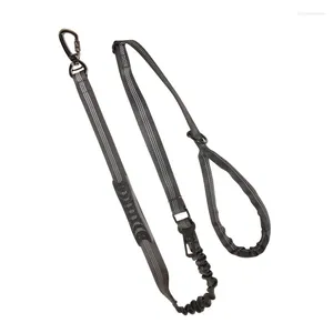 Colliers de chien ceinture de compagnie à double usage à double usage.