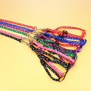 Colliers de chien en Nylon imprimé os pour animaux de compagnie, laisse d'entraînement pour chiot et chat, harnais réglable, plomb, corde de Traction Durable pour petits