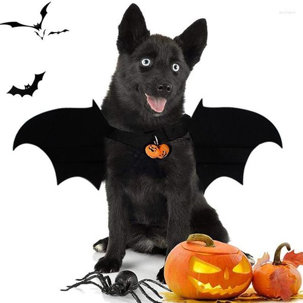 Collares para perros, alas de murciélago para gatos, disfraz de Cosplay, ala única cómoda para Halloween para maquillaje