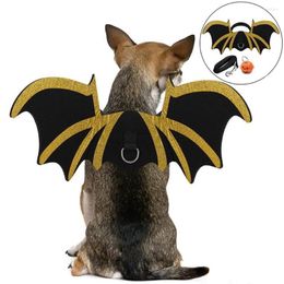 Colliers pour chiens Ailes de chauve-souris pour chat avec bande de feutre réglable et cloche de citrouille Costumes pour animaux de compagnie Vêtements Décoration d'Halloween pour la fête de mascarade