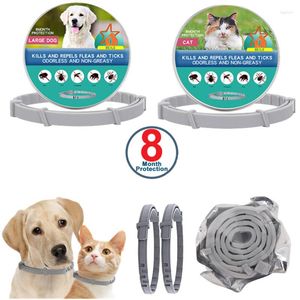 Dog Collars Pet Cat Flea And Tick Remover Collar Necklace Adjustable Repellent Mosquitoes For Puppy Big Products