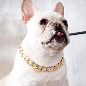 Collares para perros Collar de oro Collar P Collar P Caqueta Decoración Regalo de decoración para perros Accesorios de lucha Joyería Po Propiedades